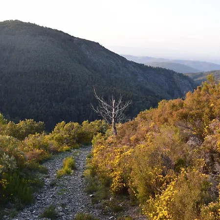 Mini-hôtel Casa Do Neveiro 3*