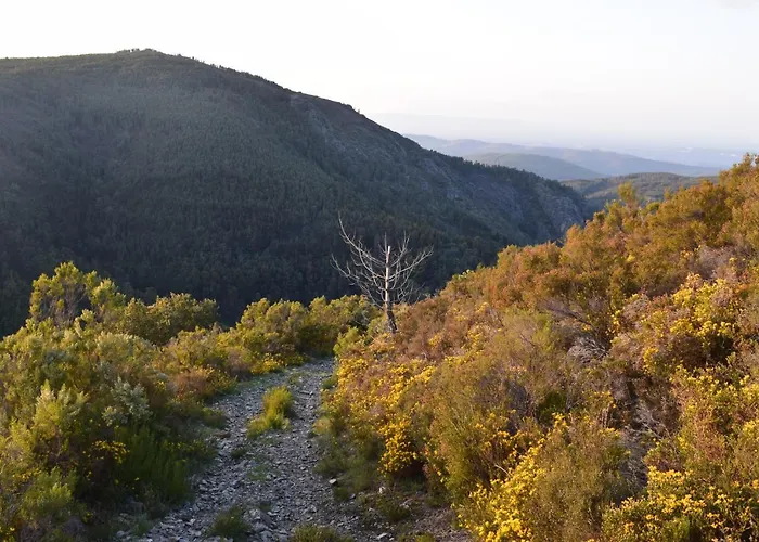 Herberg Casa Do Neveiro 3*