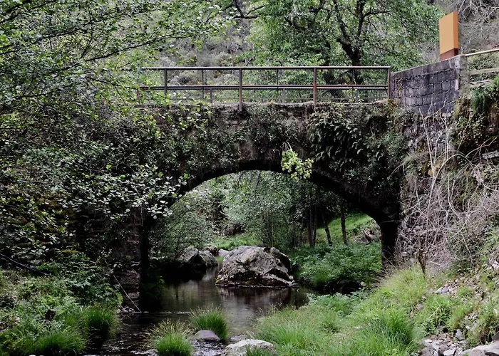Casa Do Neveiro Góis