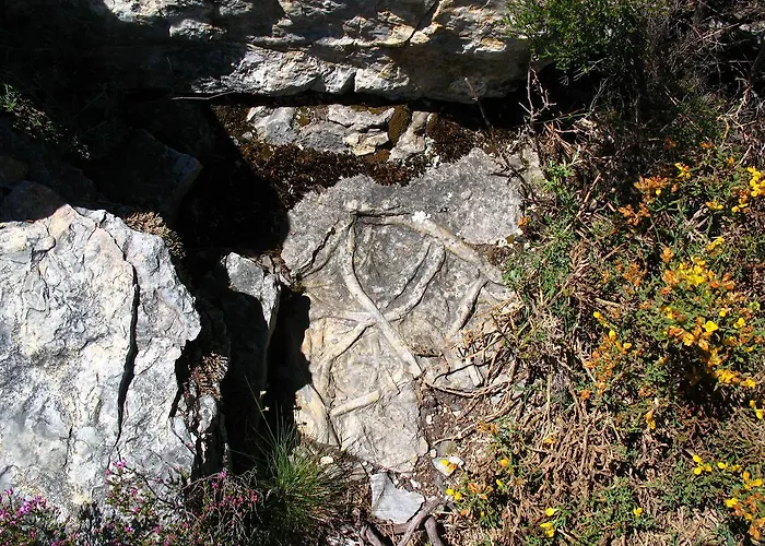 Casa Do Neveiro 宾馆